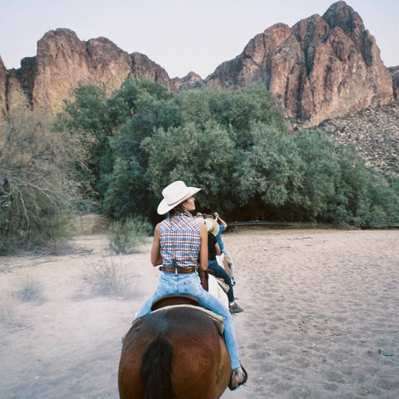 Meet your Posher, Stevie - Picture 1 of 1